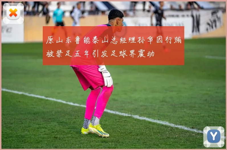 原山东鲁能泰山总经理孙华因行贿被禁足五年引发足球界震动